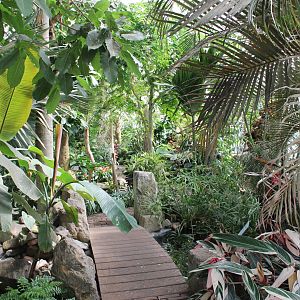 Little bridge in the Bird-hall