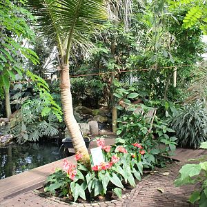 View into the Bird-hall