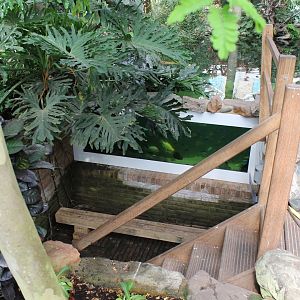 Underwater-viewing Fish-pond