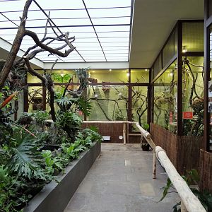 Inside former Bird House