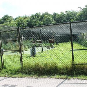 Crane- and Waterfowl aviary