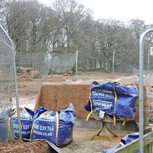 Construction work on Hunting Dog enclosure