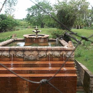 Tiger enclosure, Maharajah Jungle Trek