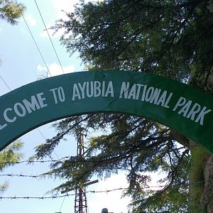 Ayubia National Park - 2016