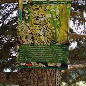 Ayubia National Park - 2016