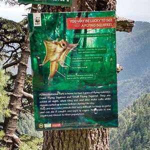 Ayubia National Park - 2016