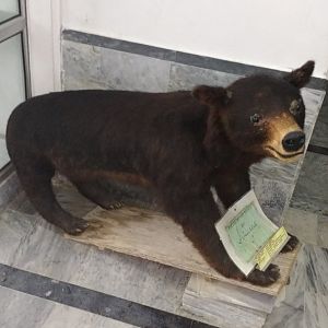 Ayubia National Park - 2016