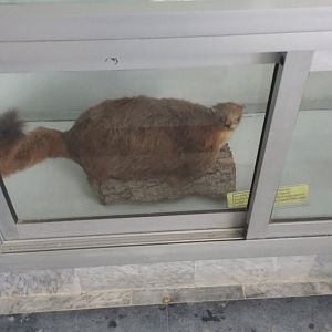 Ayubia National Park - 2016