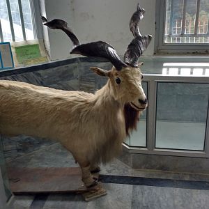 Ayubia National Park - 2016