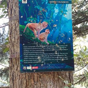 Ayubia National Park - 2016