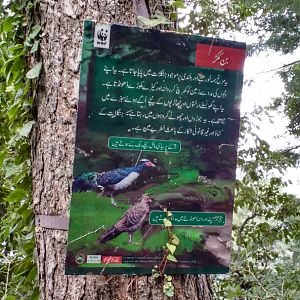 Ayubia National Park - 2016