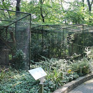 Aviaries