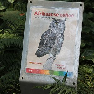 Spotted Eagle-owl sign