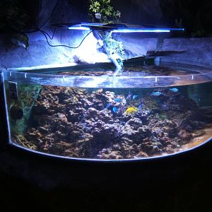 27/12/2016 view of new marine tank