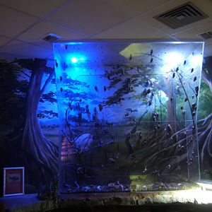 27/12/2016 View of Giant African Land Snail exhibit