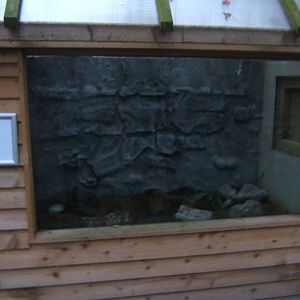 27/12/2016 View of empty Slow Worm exhibit