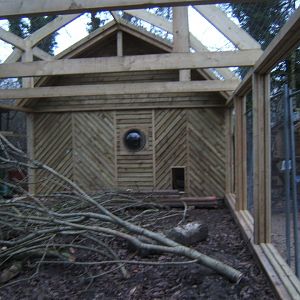 27/12/2016 View of new Fossa enclosure under construction