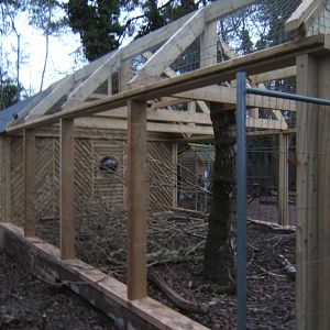 27/12/2016 View of new Fossa enclosure under construction
