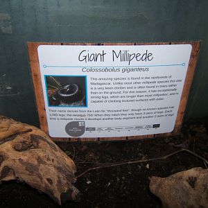 27/12/2016 Signage view