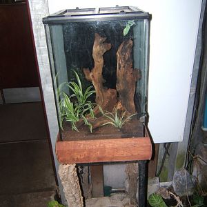 27/12/2016 view of new Mantis exhibit