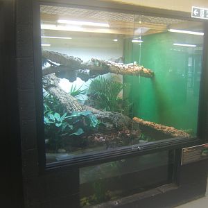28/12/2016 view of Green Tree Monitor exhibit