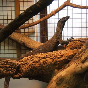 28/12/2016 Mangrove Monitor