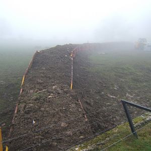 28/12/2016 Line of skips in the White Rhino Paddock