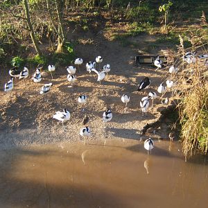 29/12/2016 view of part of wader beach