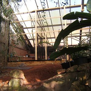 30/12/2016 New aviarys under construction