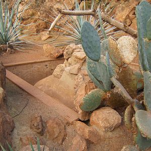 30/12/2016 view of part of the disused Monitor exhibit