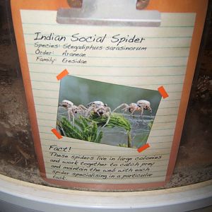 30/12/2016 View of signage