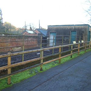 30/12/2016 View of Tapir enclosure