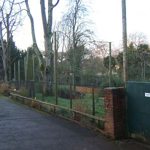 30/12/2016 View of Secretary Bird enclosure