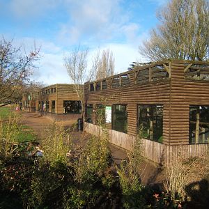 28/1/2017 View of Primate Houses