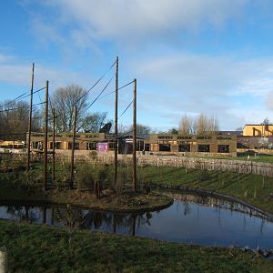 28/1/2017 View of Primate Houses