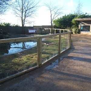28/1/2017 view of the redone Asian Short-clawed Otter enclosure