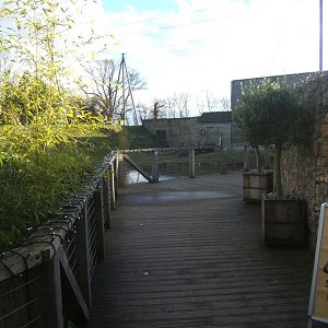 28/1/2017 View of what used to be a Aviary