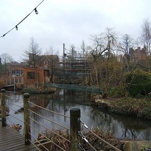 29/1/2017 View of work on Agile Gibbon enclosure