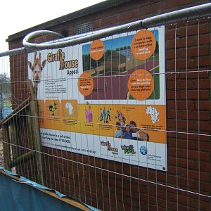 29/1/2017 View of work on new giraffe House