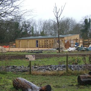 29/1/2017 View of new Eland and Zebra stals