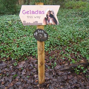 29/1/2017 Direction signage