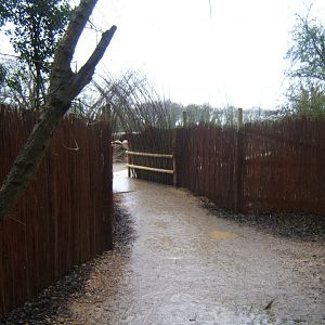 29/1/2017 view towards Gelada exhibit