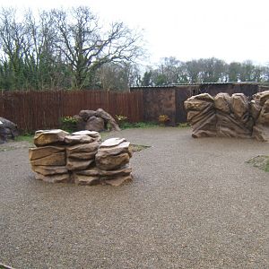 29/1/2017 View of Childrens climbing rocks by Gelada exhibit