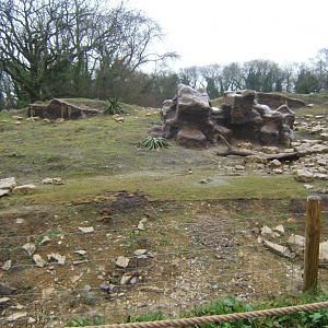 29/1/2017 View of Gelada exhibit