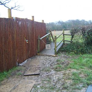 29/1/2017 View of future path past the Gelada house