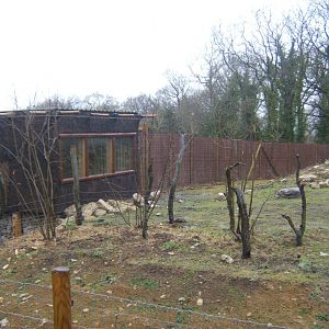 29/1/2017 View of Gelada exhibit towards the viewing hut