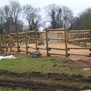 29/1/2017 View of Eland and Zebra stalls and hard standing