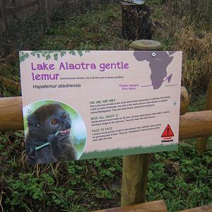 29/1/2017 Signage style