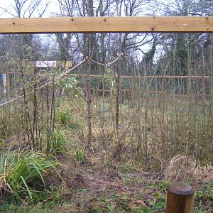 29/1/2017 View of the Lake Alaotra Gentle Lemur exhibit