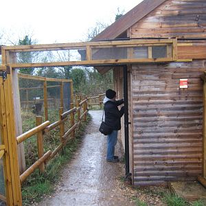 29/1/2017 View of the Lake Alaotra Gentle Lemur exhibit